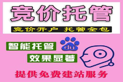某知名品牌SEM广告投放的创意与执行